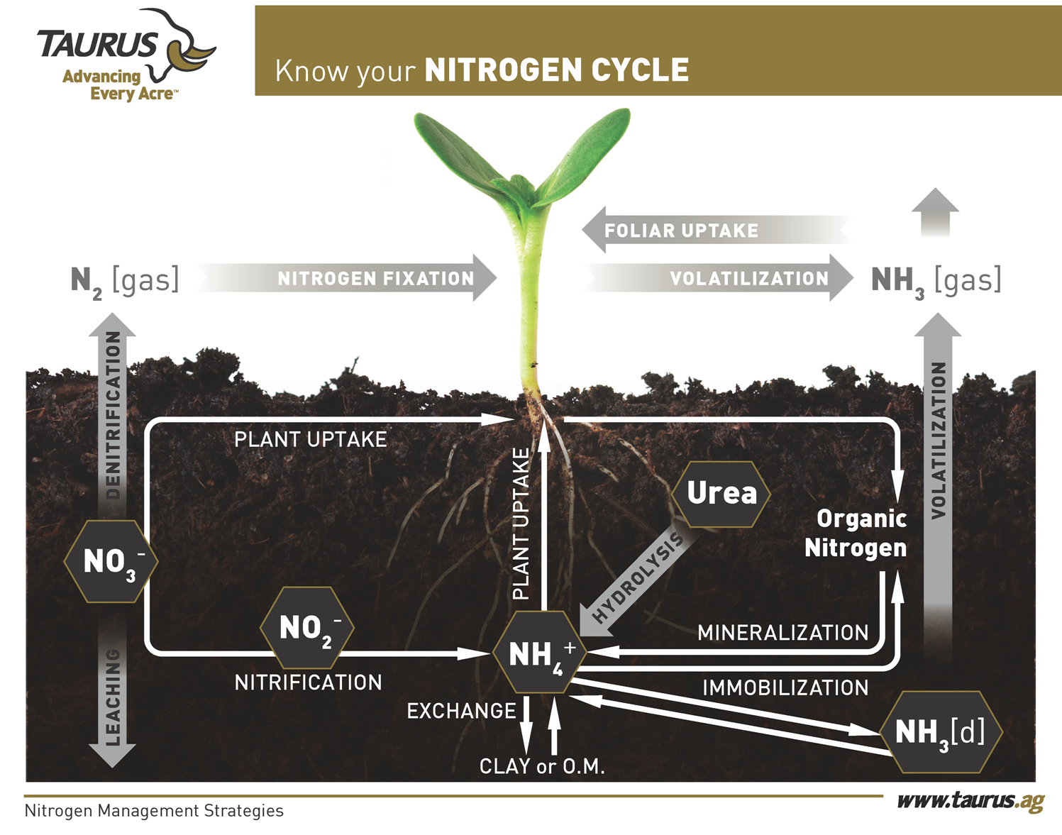 How To Maximize Useable Nitrogen In Your Crop Taurus Ag