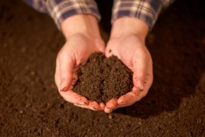 Measuring soil health