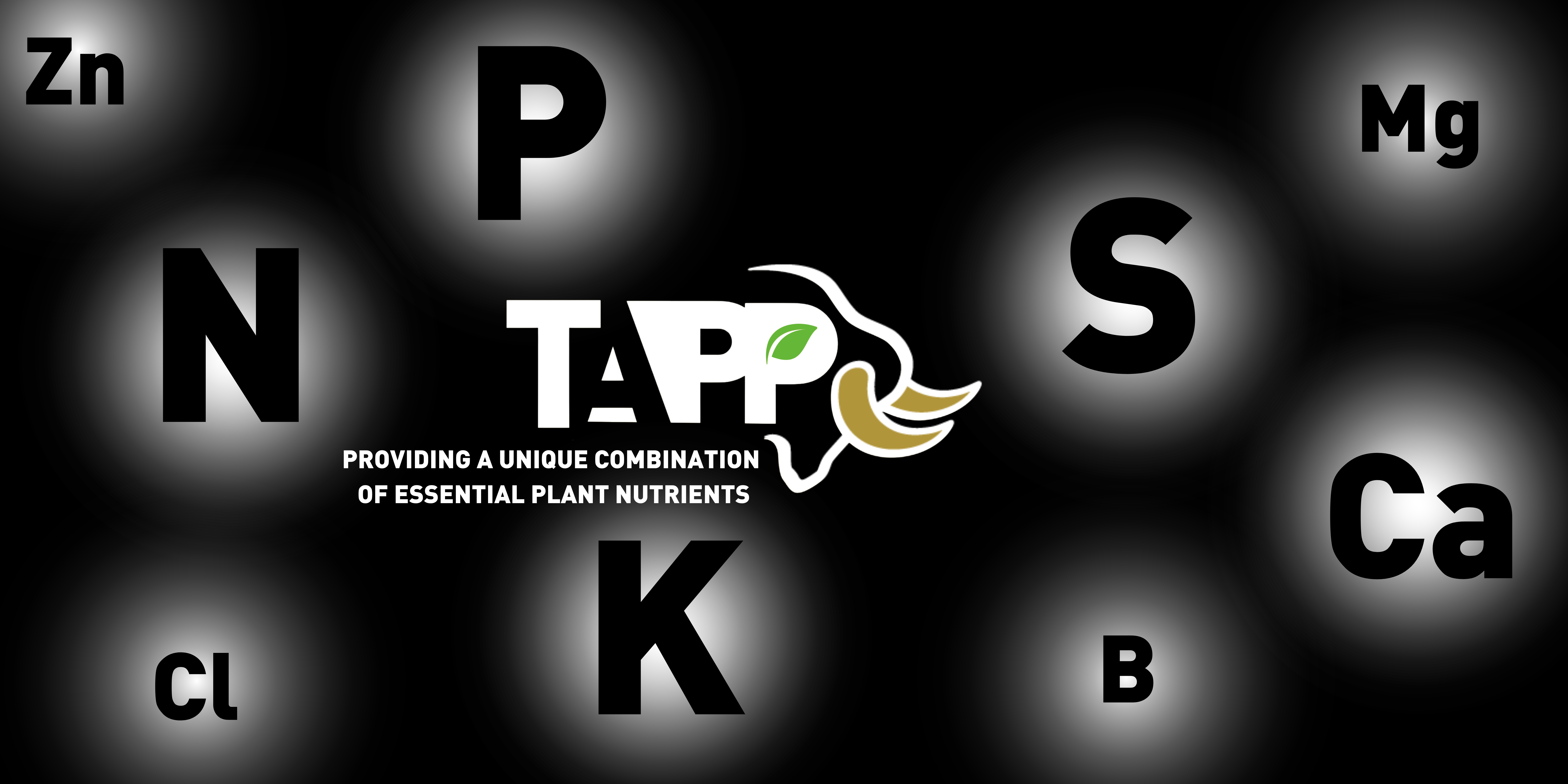 Tapp logo with nutrients around it