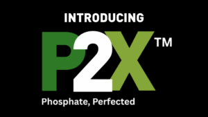 P2X logo introduction