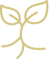 Plant icon Taurus AG