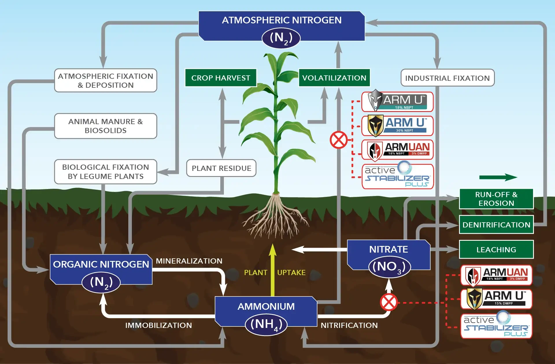 AAS-Nitrogen-Process