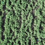 Drone Sept 23 107